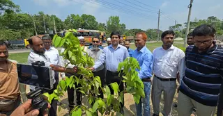 সড়ক বিভাগের উদ্যোগে বৃক্ষরোপণ অভিযান
